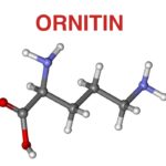 L-Ornitin
