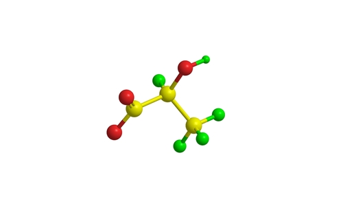 Molekula kyseliny mléčné